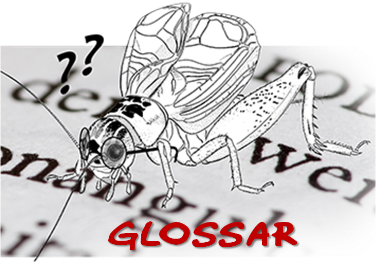 Glossar Nr. 1: Grippe, Erkältung & Co.