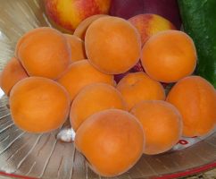 Samtige Aprikose – Wissenswertes