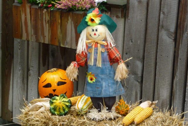 Ich, du, er, sie, man